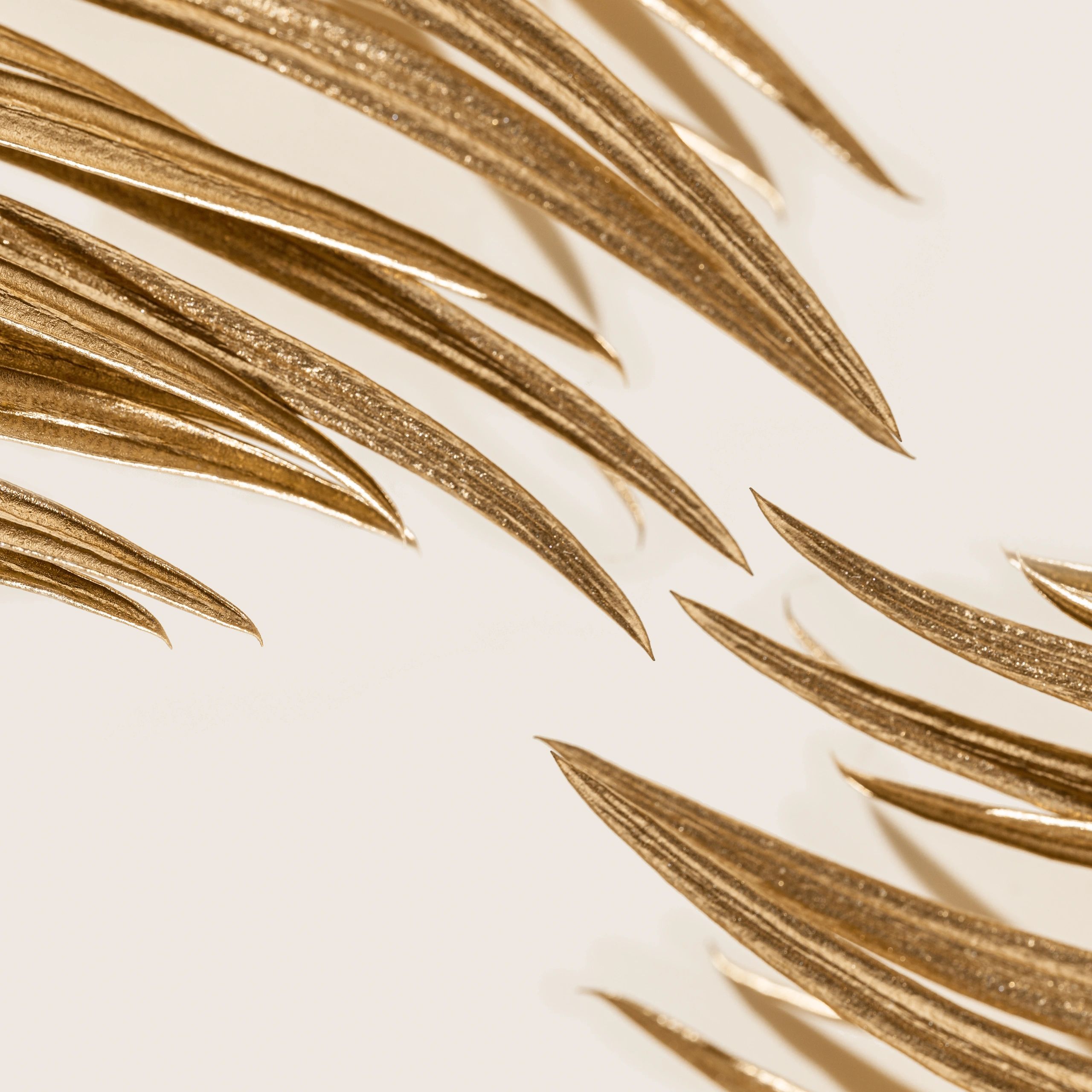 Golden palm leaf close-up as styled botanical background