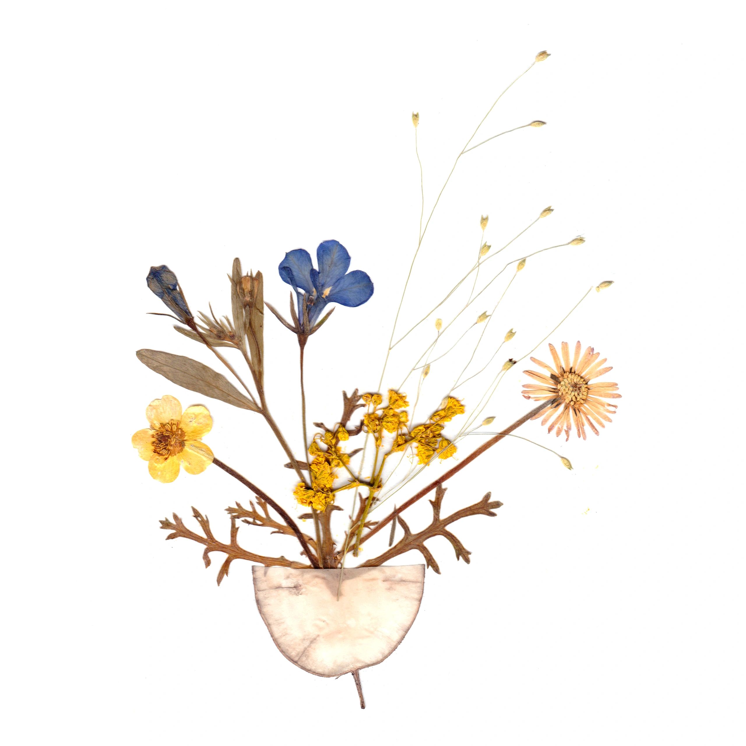 Pressed flowers arrangement detail