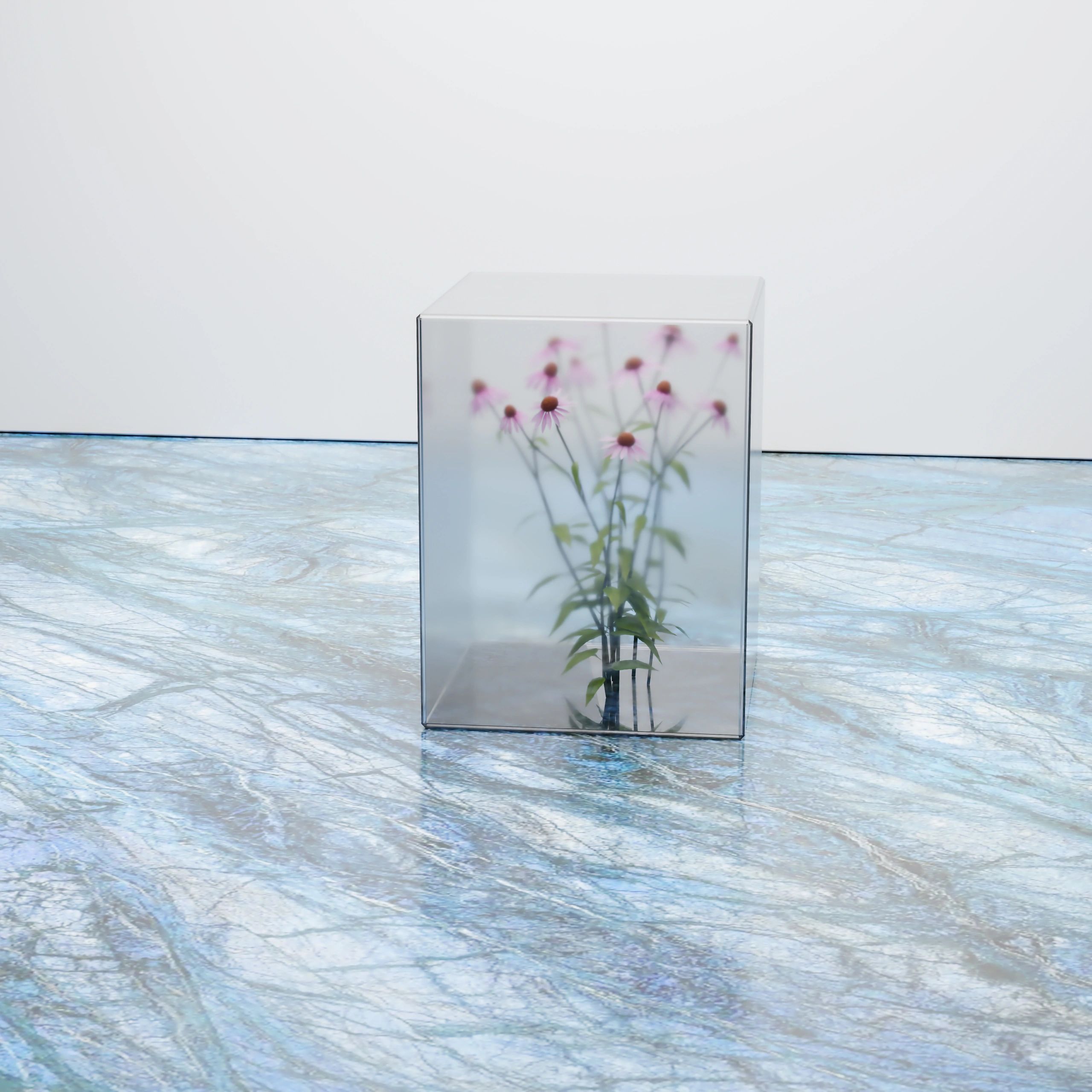 Flowers enclosed in a transparent cube still life